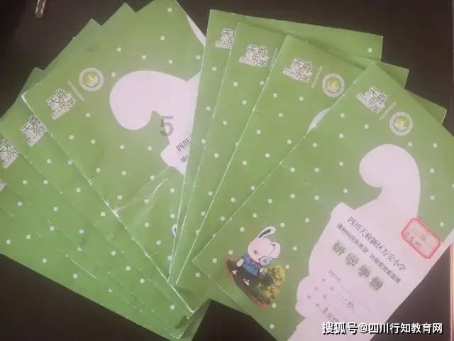 哪个吹风机性价比高不伤发?2024更放心的选择五大精品!